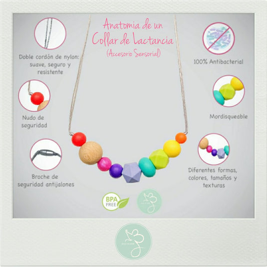 Vazart - Anatomia de un Collar de lactancia
