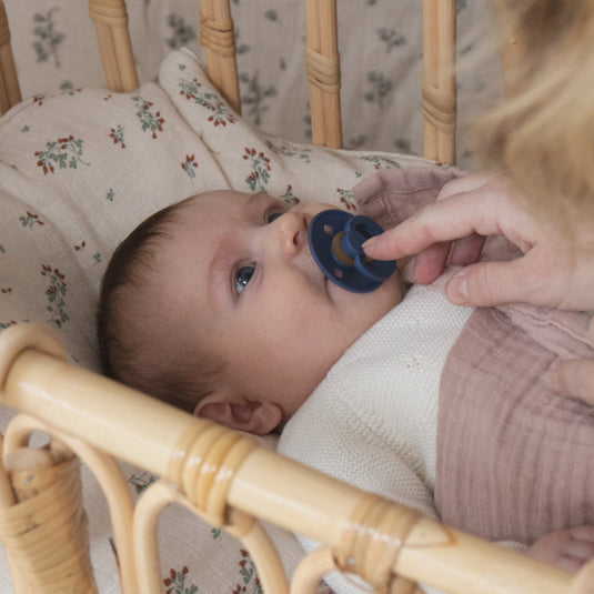 Vazart - BIBS Colour Pack X2 Sky Blue / Steel Blue 3