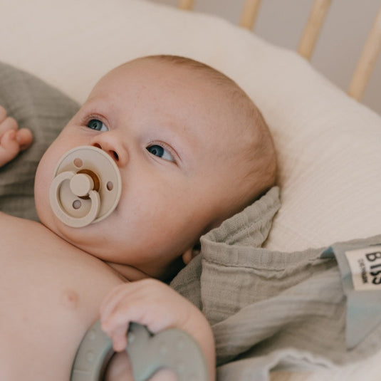 Vazart - BIBS Colour Pack X2 Vanilla / Peach 5