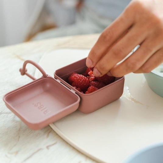 Vazart - BIBS x Liberty Pacifier box Eloise Ivory 5