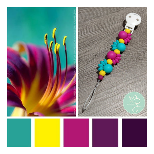 Vazart - Chupetero Fraser etapa 3 Ua Pou